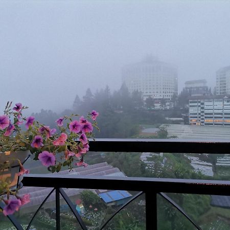 Dzulstudio Nova Highland Brincsang Kültér fotó